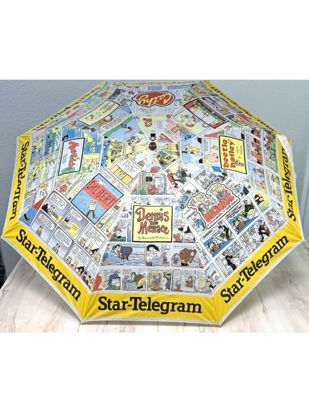 VTG Fort Woth Star-Telegram Newspaper Comics Funnies UMBRELLA Garfield Ziggy EUC